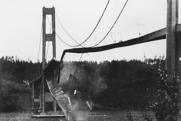 Collapse of the Tacoma Narrows Bridge: A Case Study