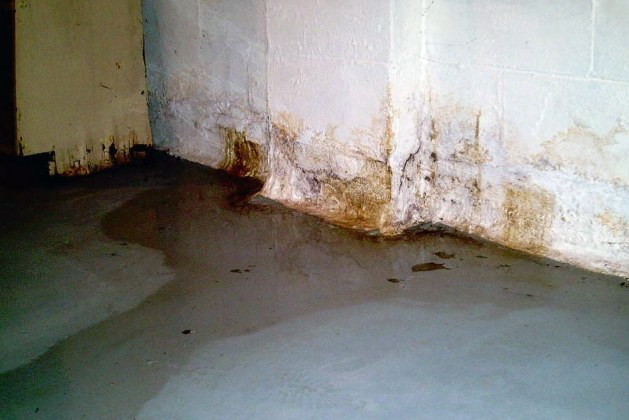 How to Deal With a Wet Basement?