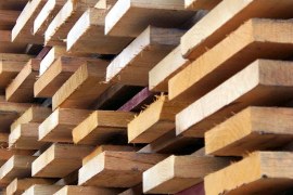 10 Different Market Forms of Timber