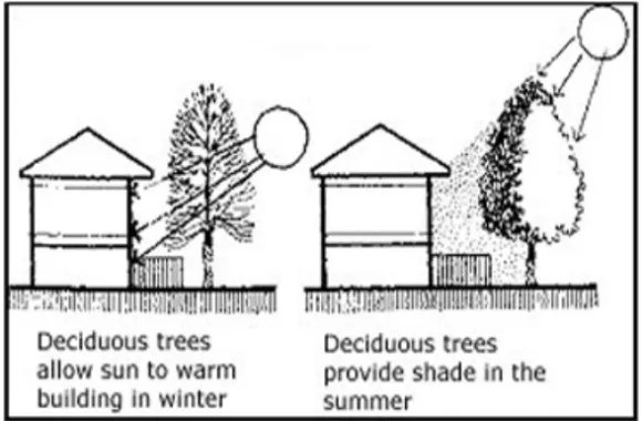Side Landscape Features Help to Conserve Energy