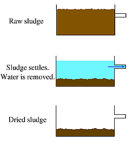 Diagram depicting the operation of a lagoon 